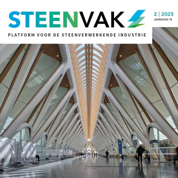 Thumbnail steenvak editie2